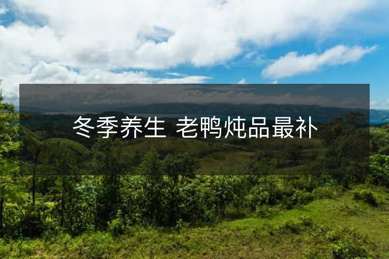 冬季养生 老鸭炖品最补 冬季养生 老鸭炖品最补